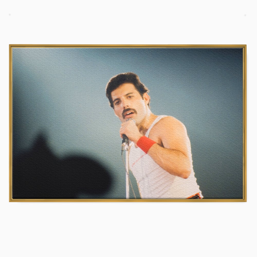 Tablou canvas cu tablou canvas cu freddie mercury, in rama de aluminiu auriu
